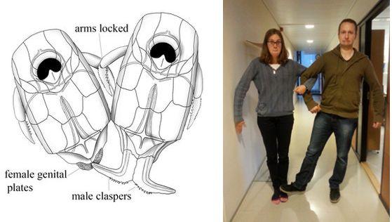 人都是女人生的，在没有人类之前，第一个女人是哪里来的？