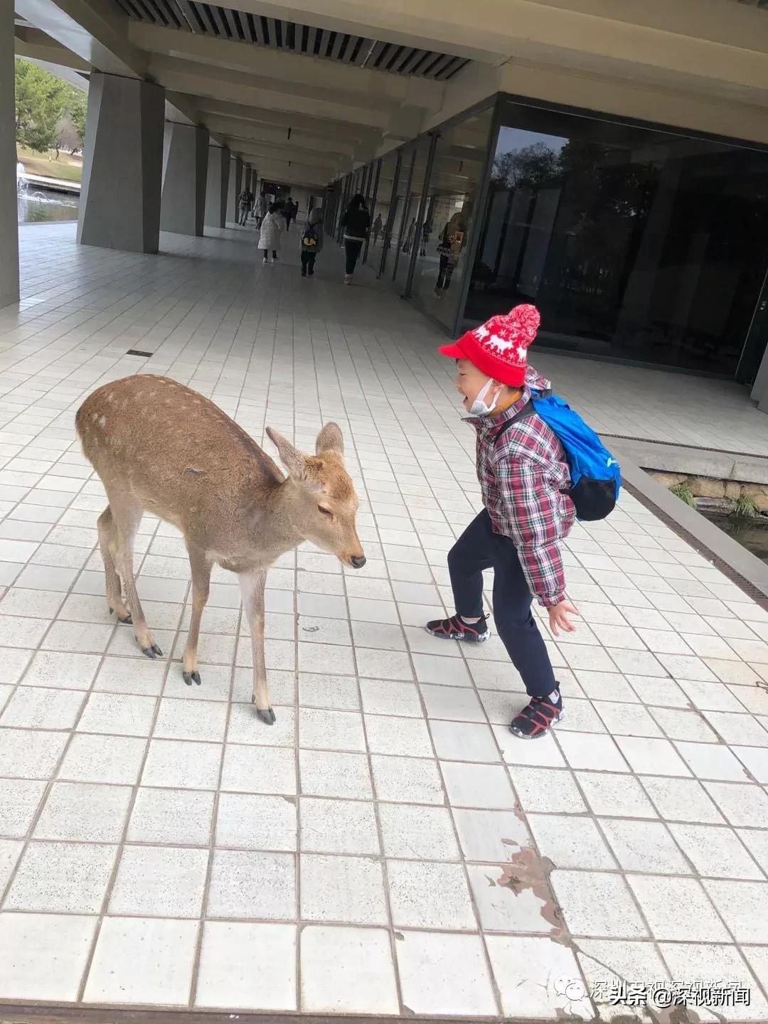 一个月了宝宝黄疸还没退完怎么办,一个月了月经还没来