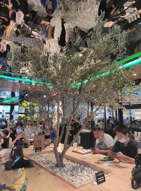 汉堡卖5块钱一个怎么样,汉堡卖6块钱一个