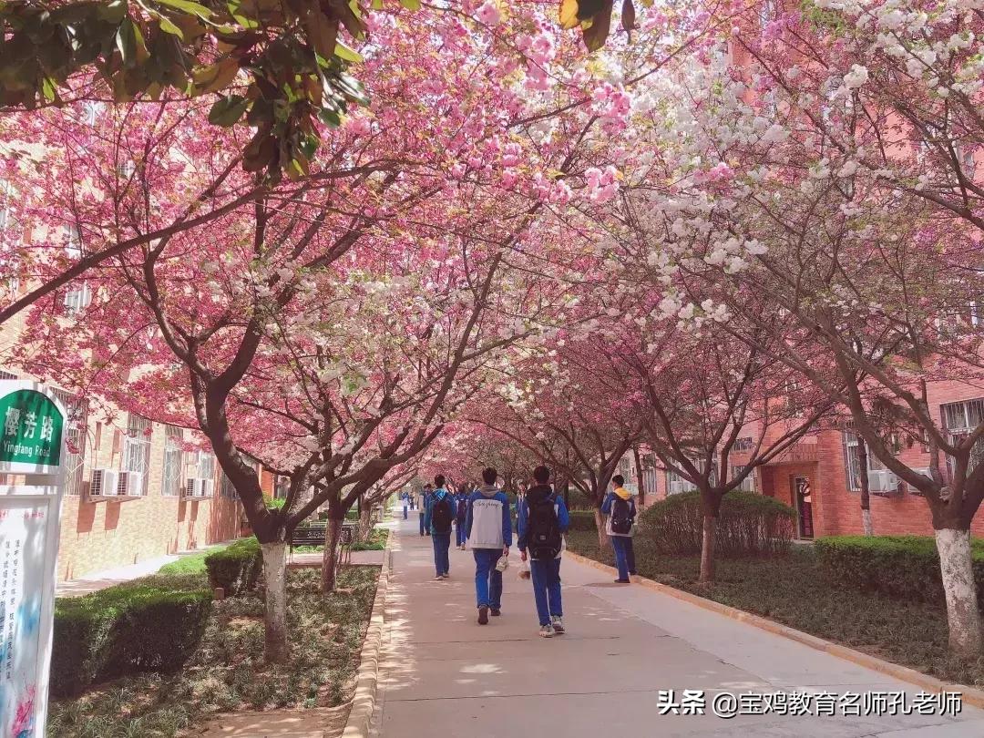 从a到z的小说,从a到z完整版