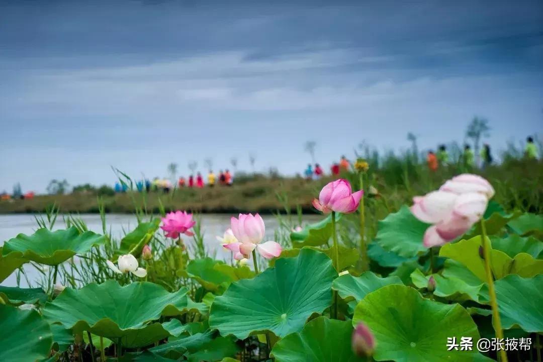 张掖的由来,什么是张掖