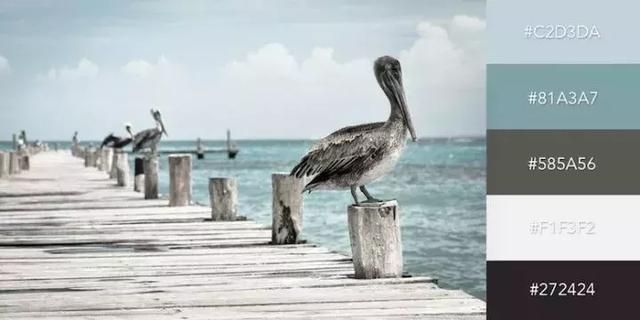 999张照片模板,999999999的创意图片