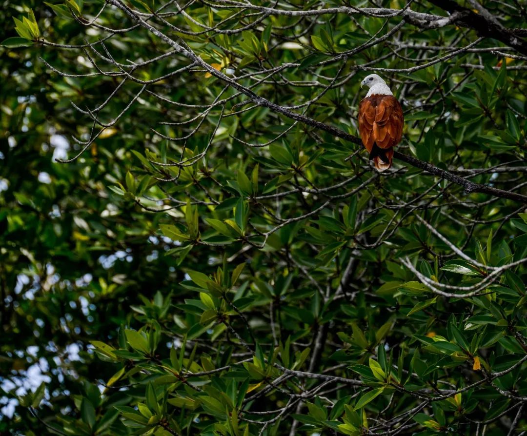 成都宝妈：孩子征服世界的第一站