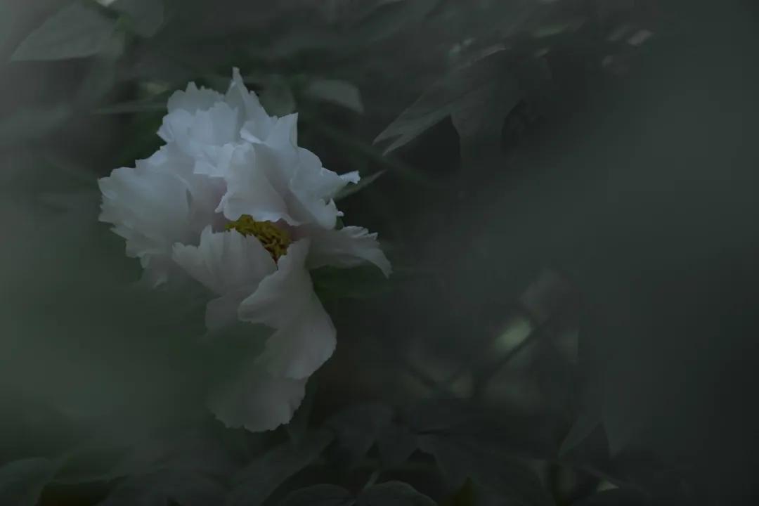 大暑的五种美,小暑的七种食物