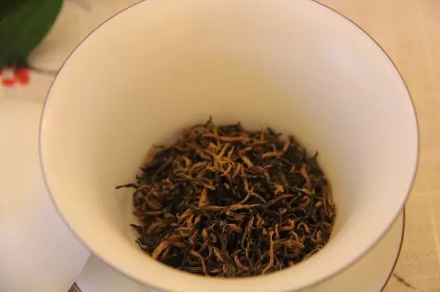 清凉茶事|天赐萌芽纤指瘦,武夷山下骏眉香