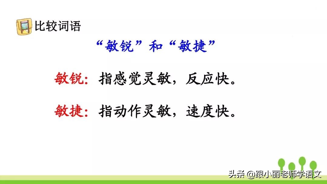 语文思维导图四年级上蝙蝠和雷达,人教版四年级上册蝙蝠和雷达朗读