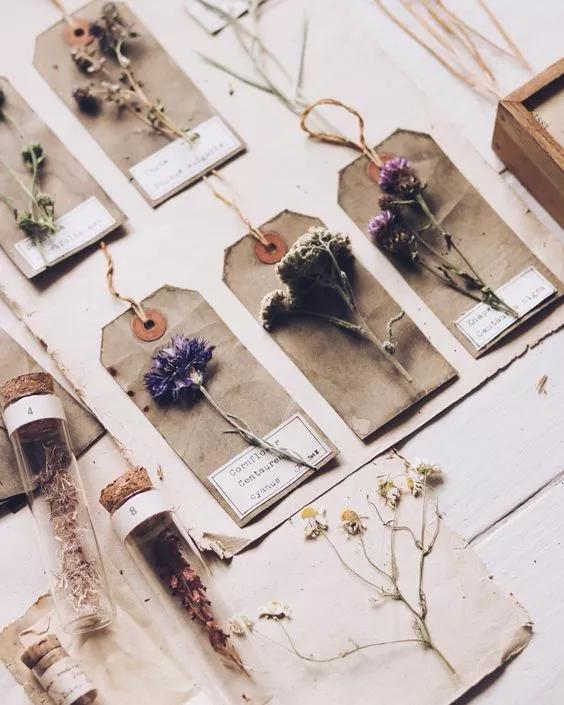 她用这种高颜值的干花装饰家里，隔壁邻居都惊叹不已