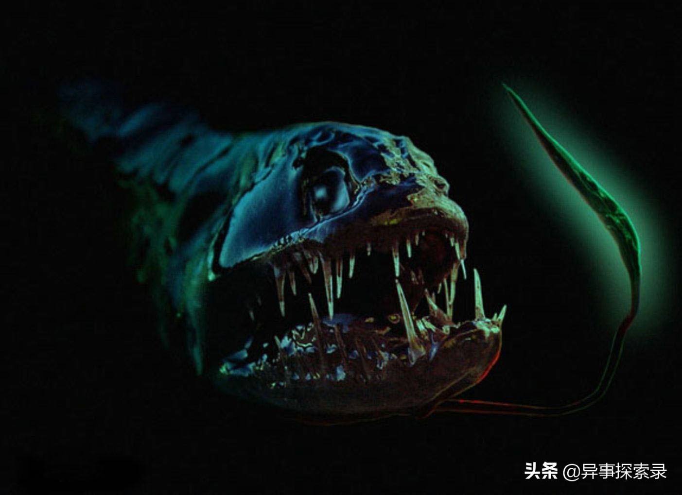 史前深海十大恐怖生物,深海底下的恐怖生物