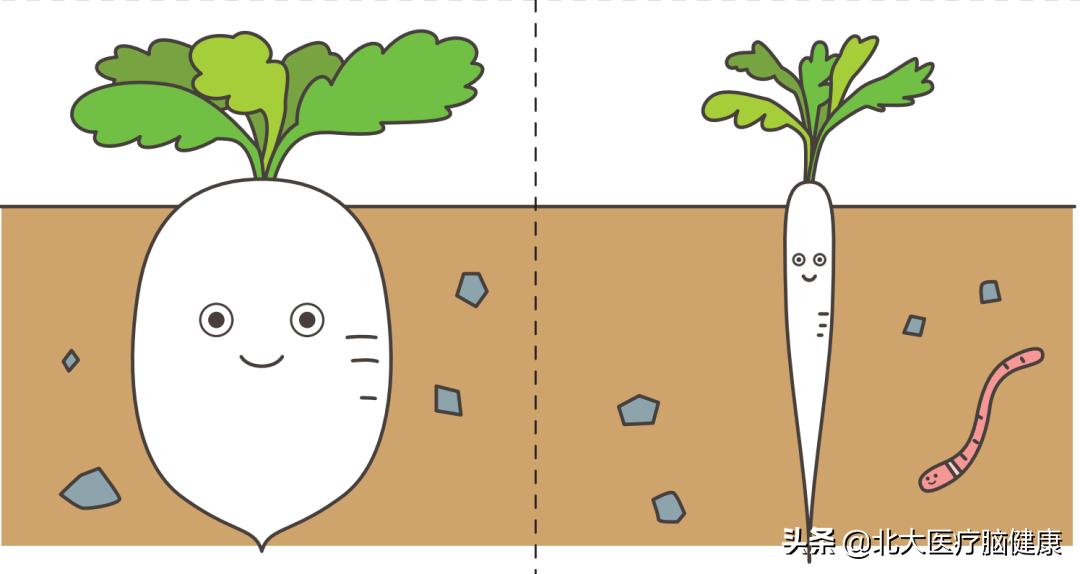 2岁还不会区分大小?16张图片,教会孩子说反义词