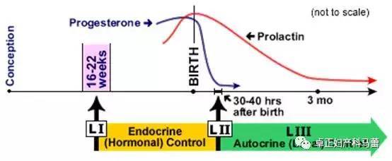 剖腹产妈妈会免疫力下降吗,剖宫产通气后吃啥下奶