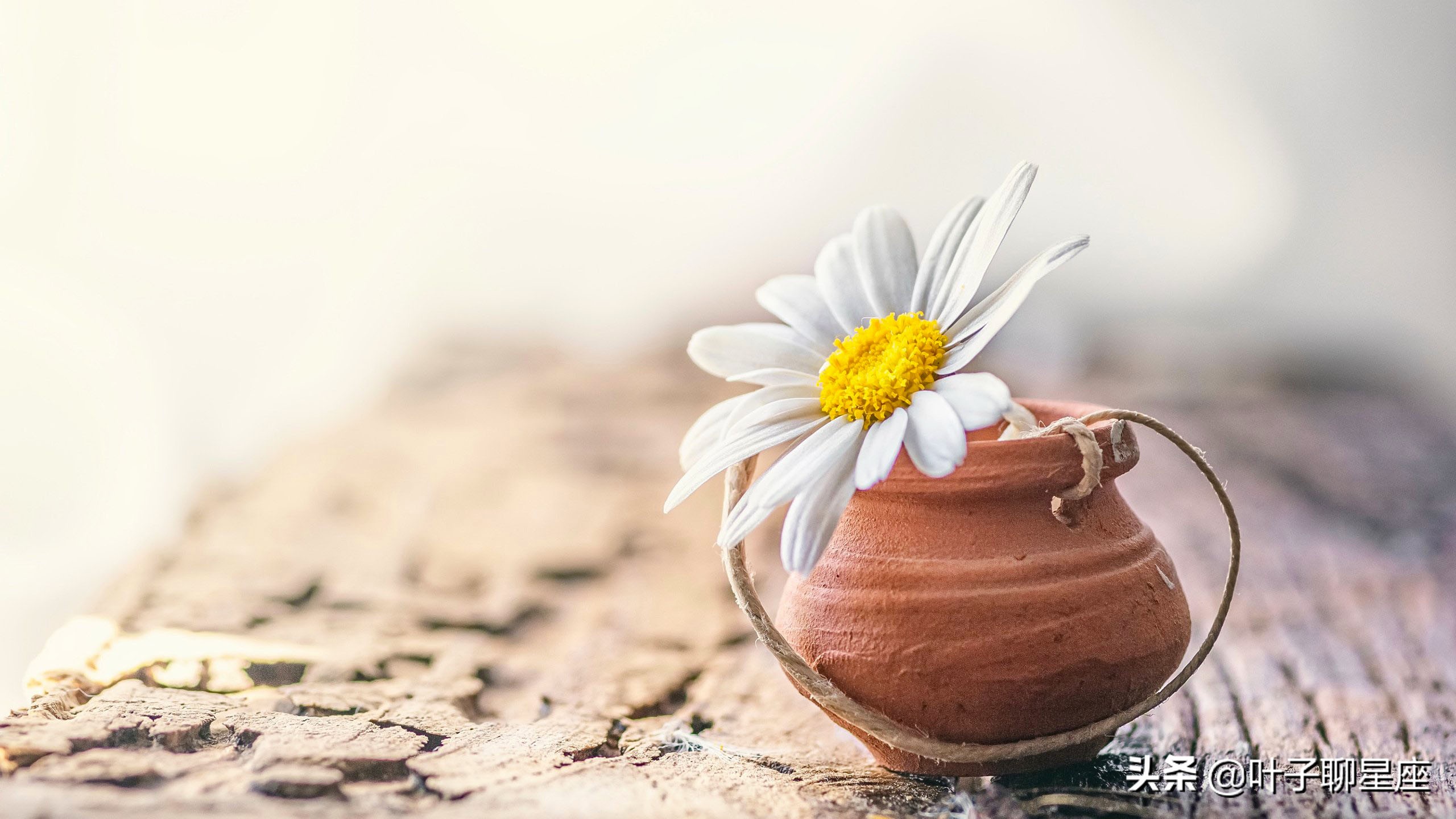 十二星座里哪个星座最让人讨厌,十二星座哪个星座最让人讨厌