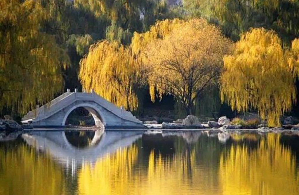 北京紫竹院公园里有什么景点,北京一日游海淀区紫竹苑风景优美
