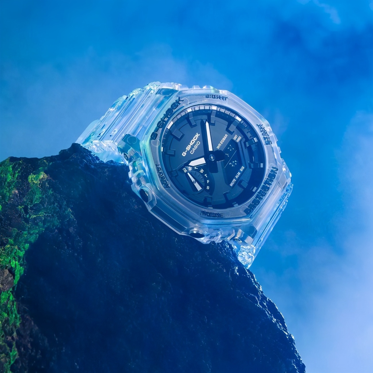 卡西欧农家橡树盒子开箱,卡西欧农家橡树背部图片