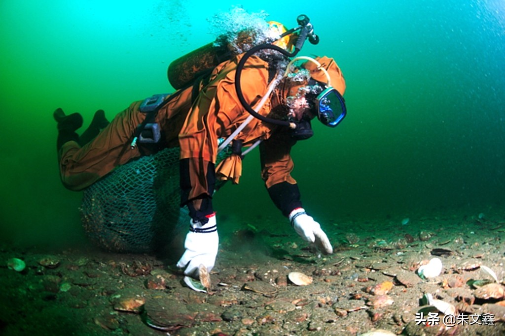 獐子岛海鲜品质是全国最好吗,獐子岛海鲜有什么