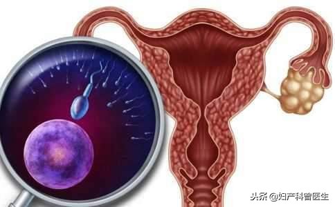 身上多毛一定是多囊卵巢综合征吗,多毛痤疮月经不调就是多囊卵巢吗