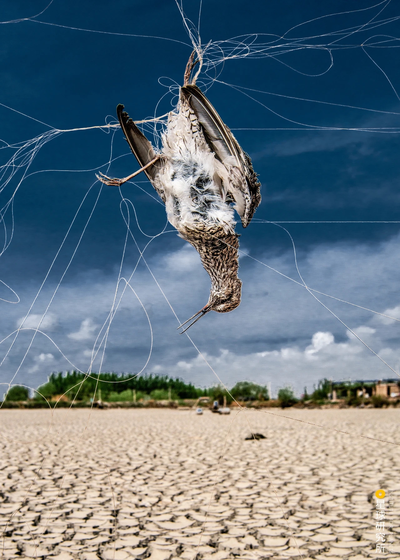 林草领域知识图谱,林草科普专业术语