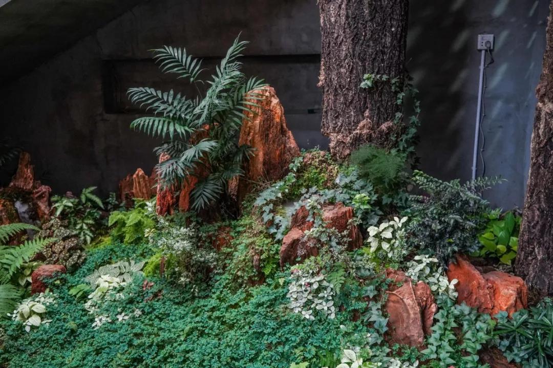 顺德最地道粤菜馆,顺德顶级粤菜招牌菜