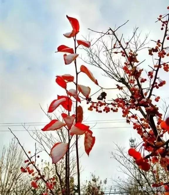 乐亭最美的地方,乐亭县古镇