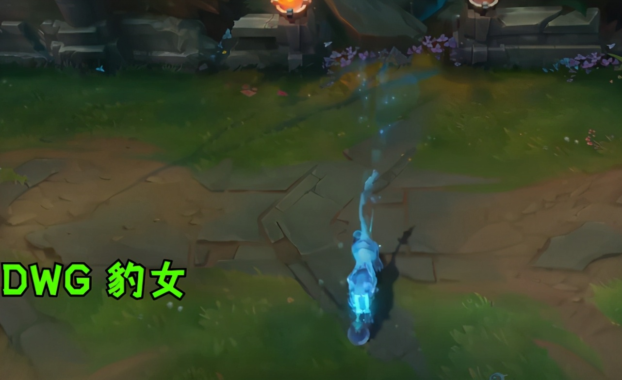 dwg冠军皮肤特效,英雄联盟六款终极皮肤特效展示