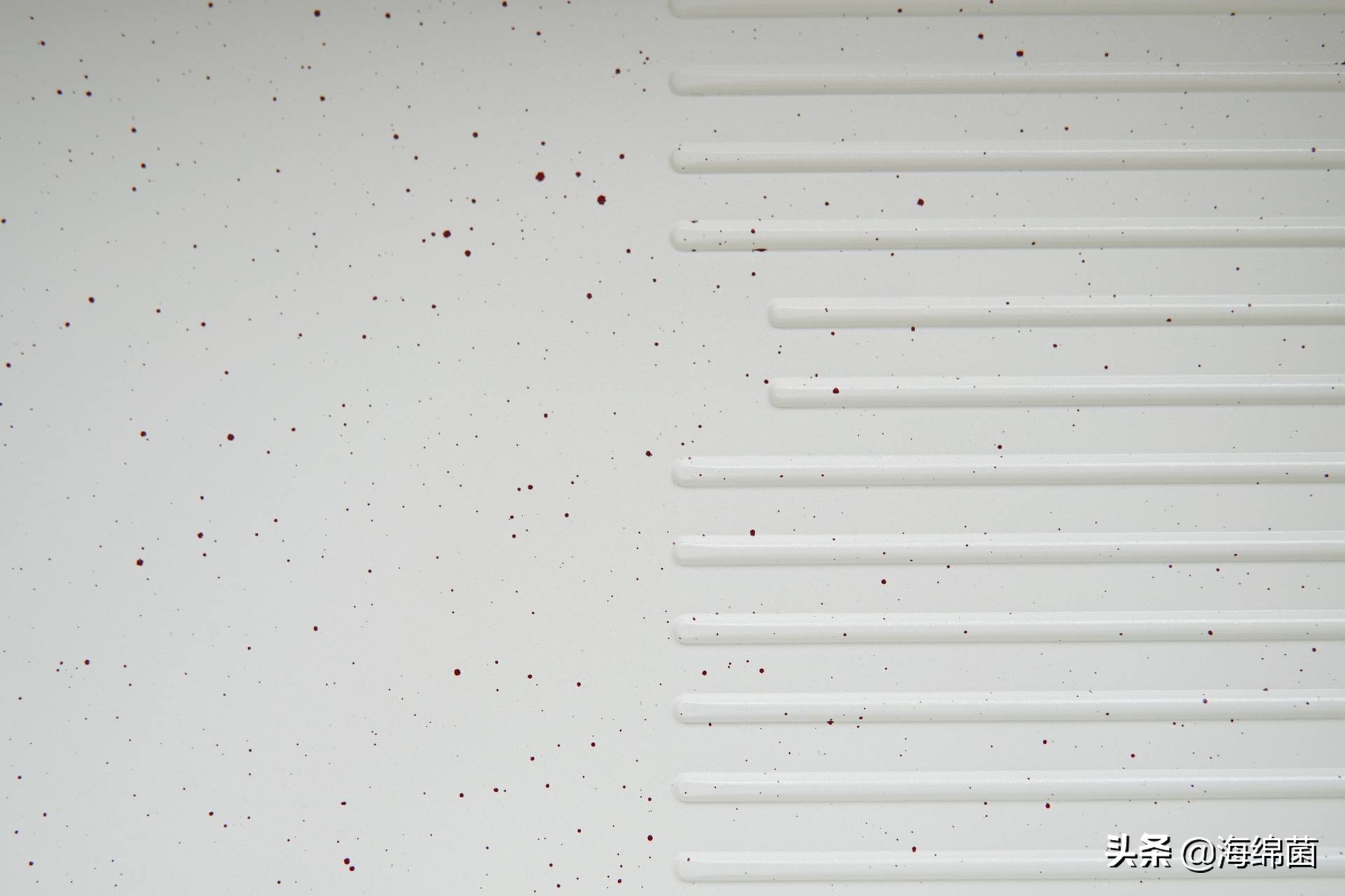 博拉利多功能蒸汽料理锅测评,博拉利蒸汽锅介绍