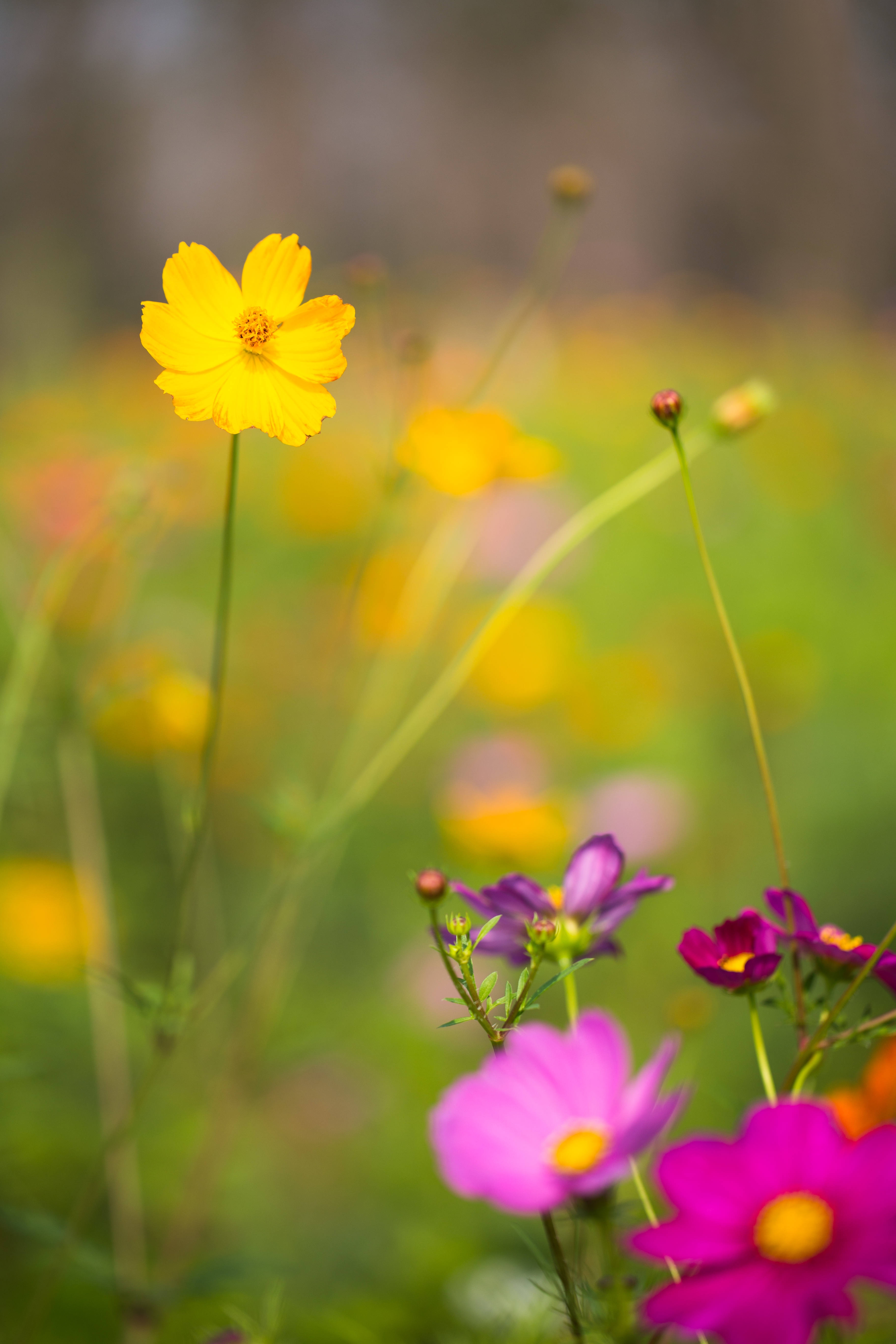 用什么软件可以去掉照片水印,哪个软件可以消除照片上的水印