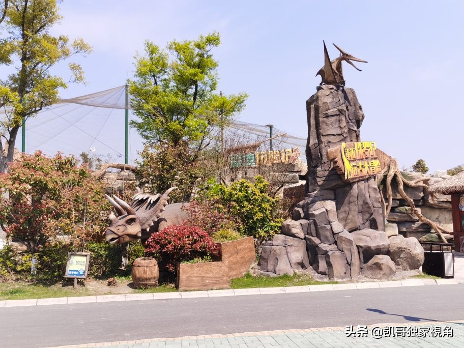 不一样的南通动物园,南通森林野生动物园和上海动物园