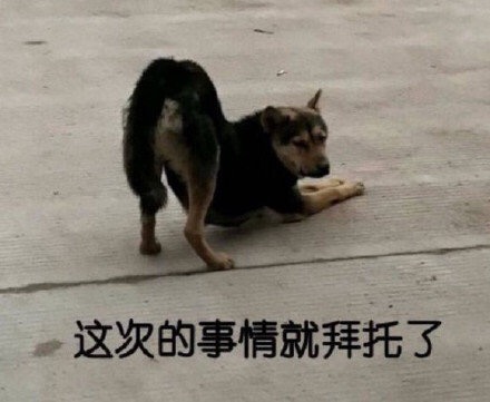 稳居文案,适合发朋友圈的憨憨文案