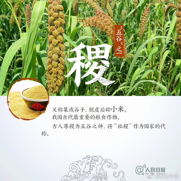 五谷杂粮最养人,五谷怎么吃最养人