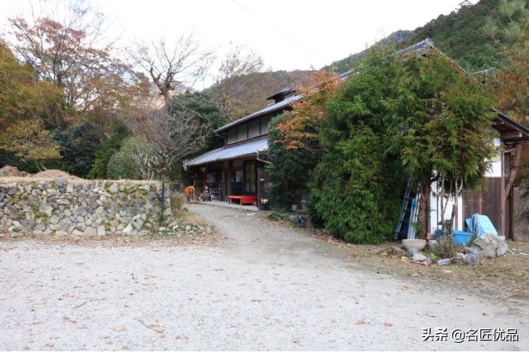 20岁少年建“猫猫寺”,和尚住持全是猫咪,网友:不敢撸不敢吸