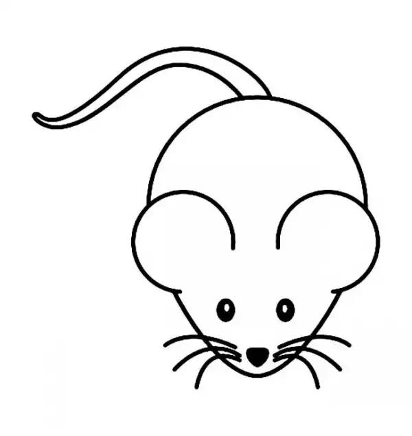 跟猪年有关的谜语,十二生肖谜语简笔画