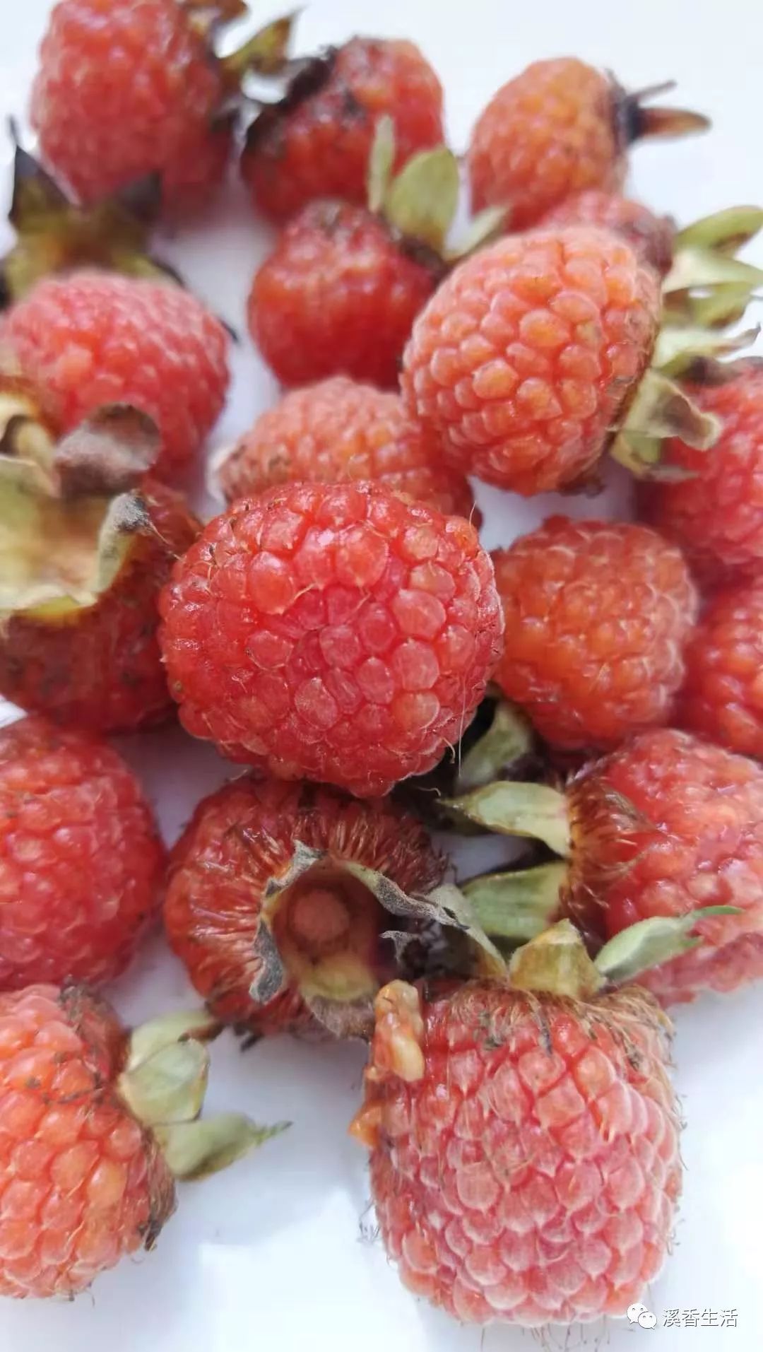 西溪南古村落惬意慢生活,徽州西溪南生活