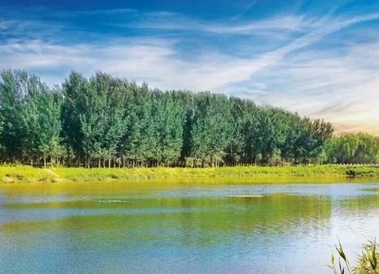 常州十大烧烤地方,常州踏青烧烤最佳攻略