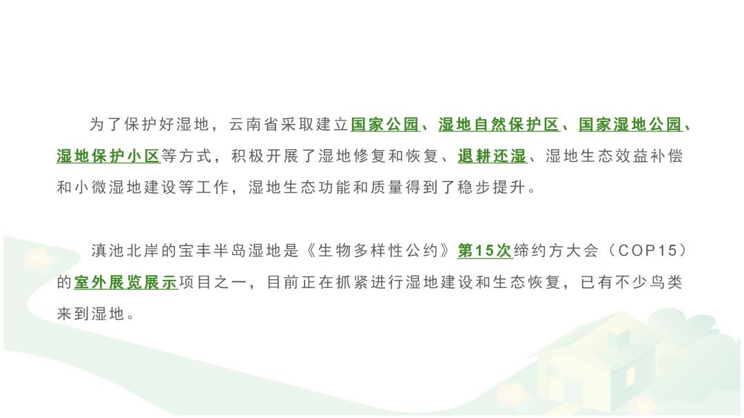 ppt文字过多怎么排版,ppt文字较多怎么排版