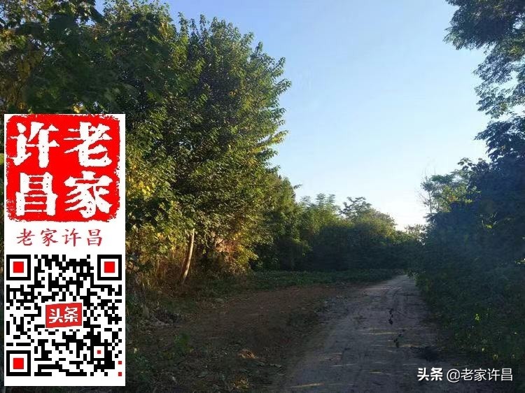 当年灵井寨,神奇故事多:鹌鹑斗,匪败走,关公佑