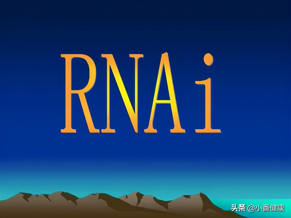 乙肝rna病毒偏高是不是耐药,乙肝病毒rna高有什么影响