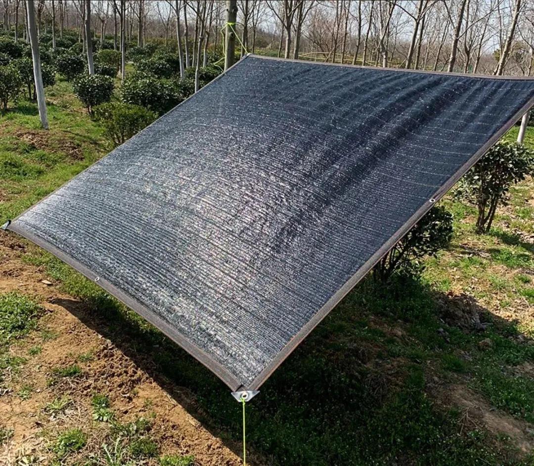 夏季花草脱水怎么治,植物脱水的补救方法