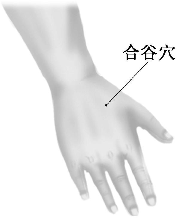 支气管炎的推拿手法,手上治疗支气管炎穴位准确位置图