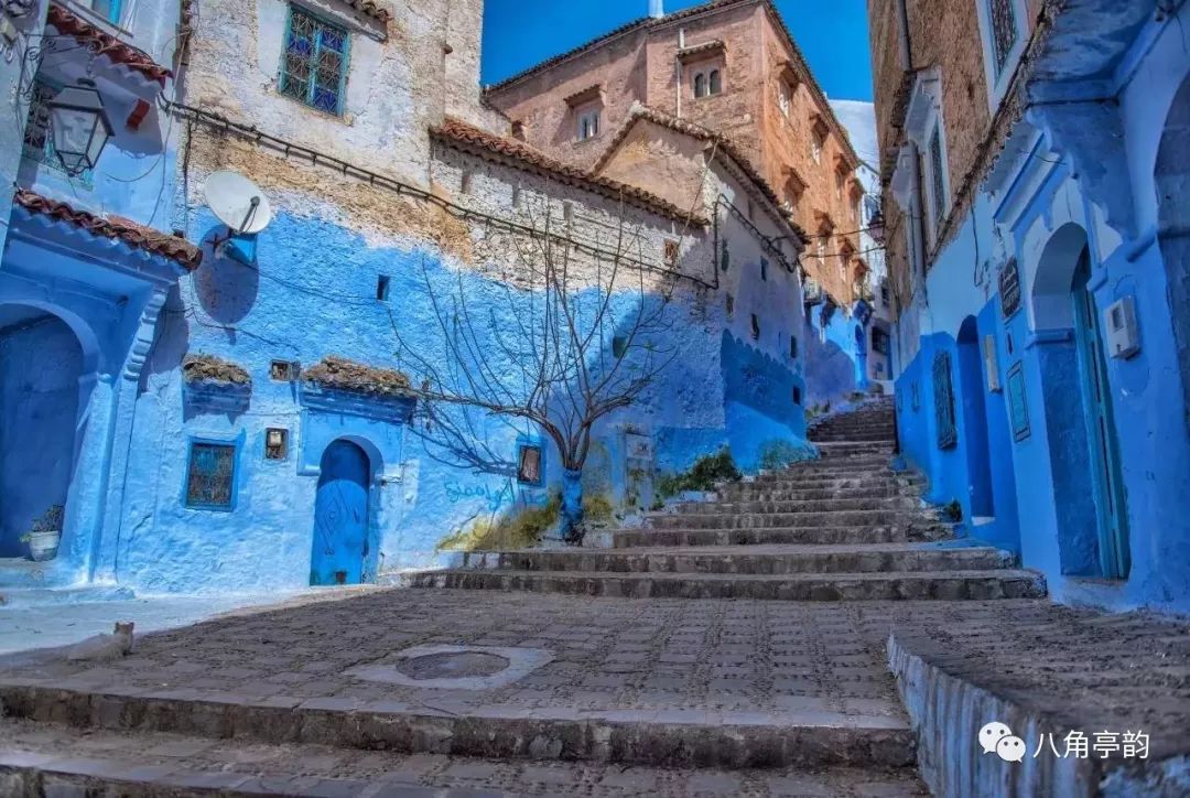 宋媛婷:甄天真的礼物