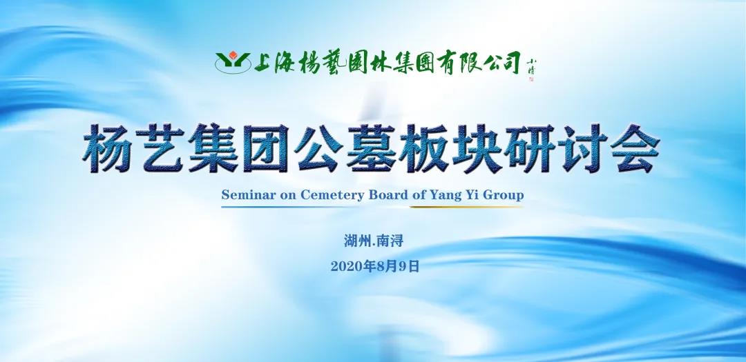 上海杨艺集团,杨艺集团最新公告