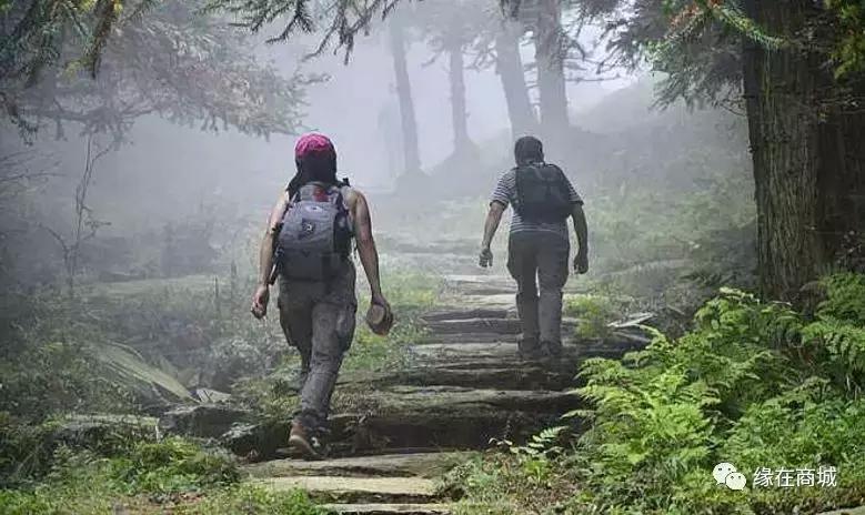 「品读」我的前男网友——以后真的不单独见面吗?/江河之王