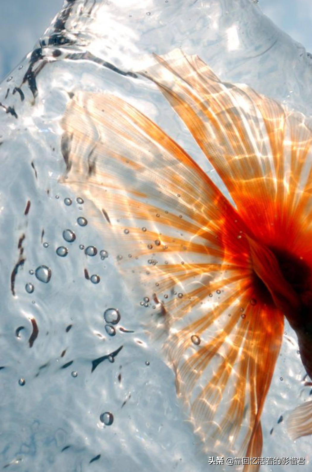 我爱的人已婚,换句话说我爱的人结婚了