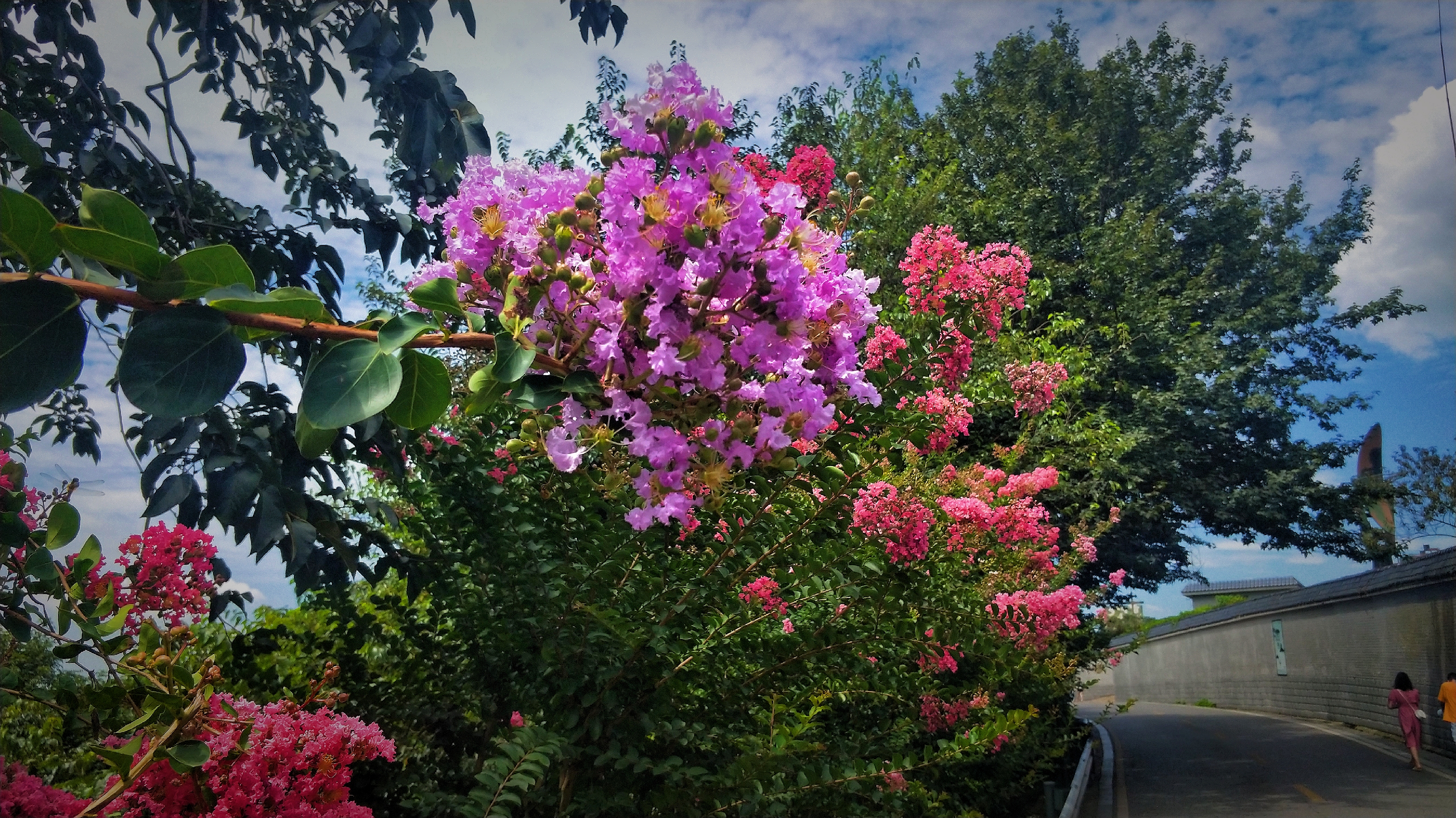 南岳72峰白云峰,南岳72峰之一聚湖峰