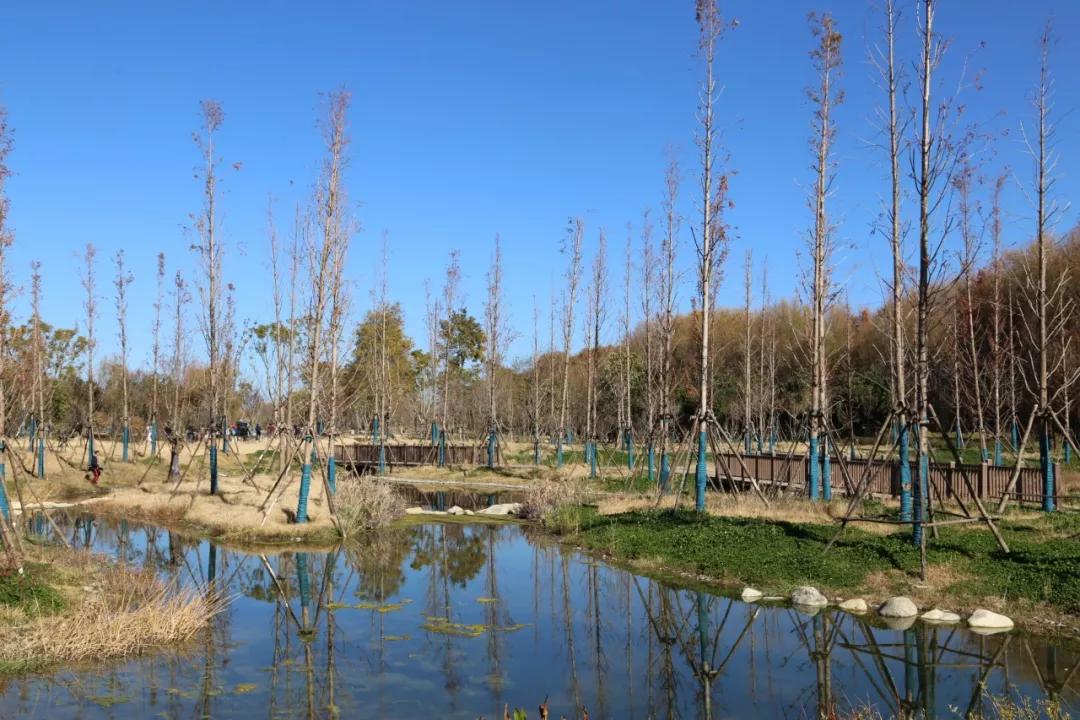 环海西路何时开工,环海路开放时间