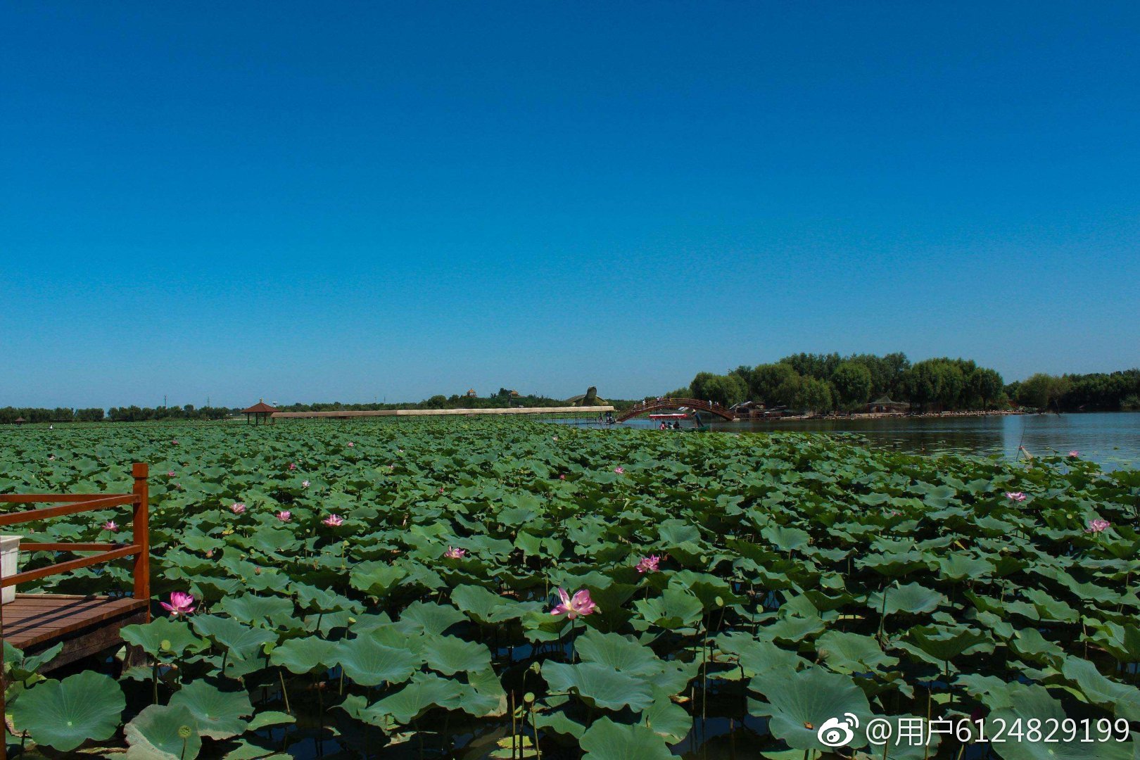 神奇的汉字（读音相同，含义相通82）