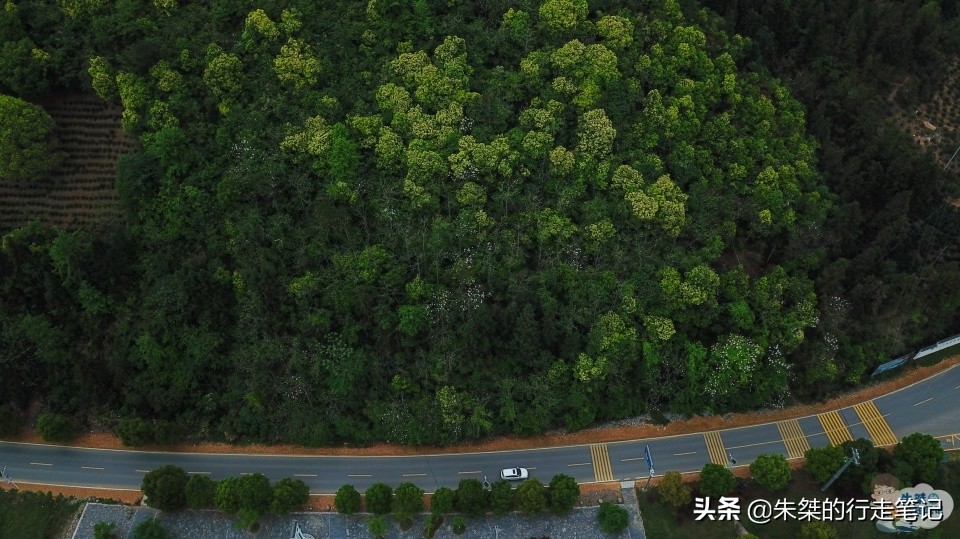 安徽变化很大的石台县,安徽石台山水风光