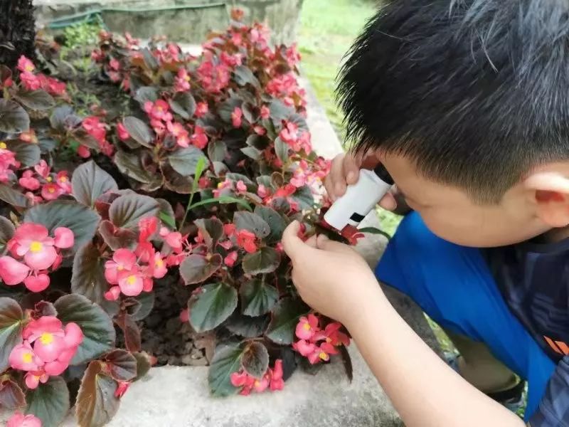 显微镜最大可以放大5000倍,只能放大1200倍的显微镜