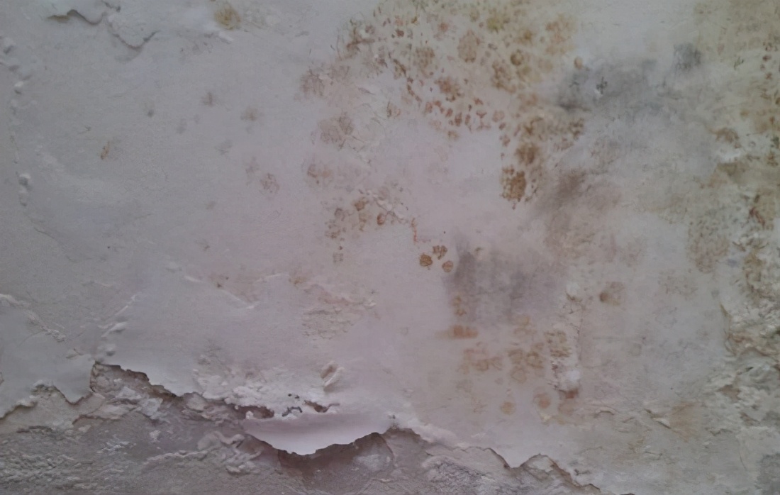 如何处理墙面发霉问题,如何彻底根治墙面发霉