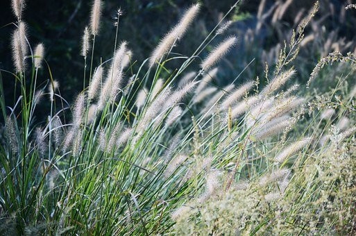 如何判断一个男人是否厌恶你,如何区分男人是否真心爱