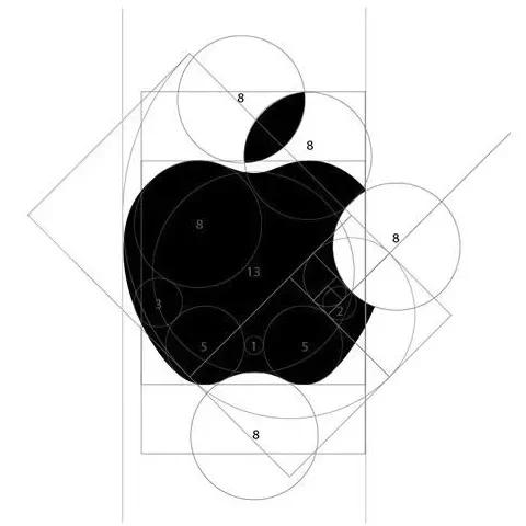 ppt如何做一个原来越大的圆形,ppt的圆怎么做出设计感