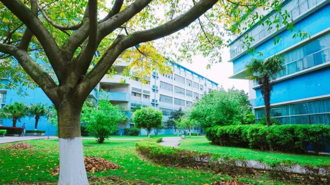 我的青春,叫电子科大成都学院!